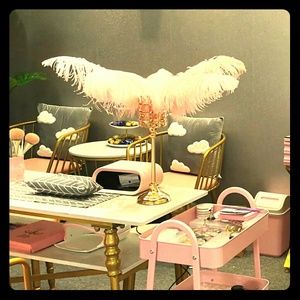 European style romantic Pink ostrich feather